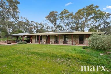 Farm For Sale - SA - Flaxman Valley - 5235 - Sustainable living, modern comfort, and rural tranquillity  (Image 2)