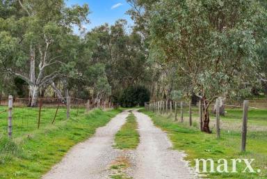 Farm For Sale - SA - Flaxman Valley - 5235 - Sustainable living, modern comfort, and rural tranquillity  (Image 2)