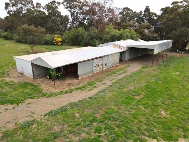 Farm For Sale - VIC - Kyabram - 3620 - Powerhouse Fodder Block  (Image 2)