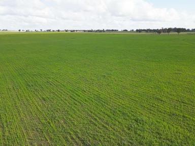 Farm For Sale - VIC - Stanhope South - 3623 - Great Farming Possibilities  (Image 2)