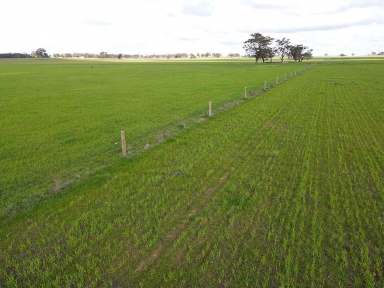 Farm For Sale - VIC - Stanhope - 3623 - Great Farming Possibilities  (Image 2)