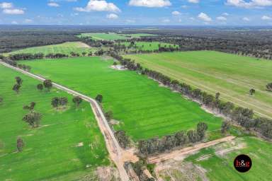 Farm For Sale - VIC - St Germains - 3620 - Production Powerhouse  (Image 2)