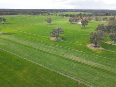 Farm For Sale - VIC - St Germains - 3620 - Production Powerhouse  (Image 2)