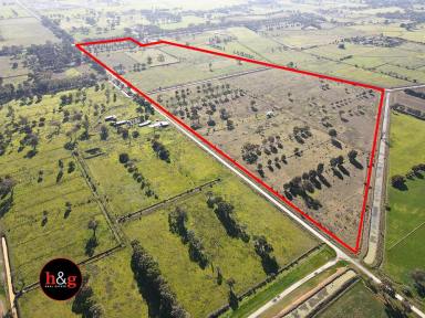 Farm For Sale - VIC - Girgarre - 3624 - Potential Plus Here  (Image 2)