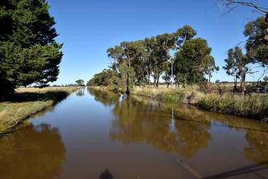 Farm For Sale - VIC - Kyabram - 3620 - Great Way to Start Farming  (Image 2)