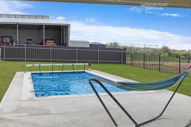 Farm For Sale - SA - Monarto South - 5254 - 5 BR HOME - 100 ACRES + POOL + SHEDDING  (Image 2)