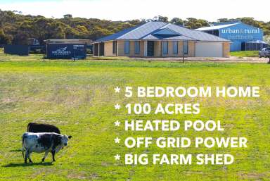 Farm For Sale - SA - Monarto South - 5254 - 5 BR HOME - 100 ACRES + POOL + SHEDDING  (Image 2)