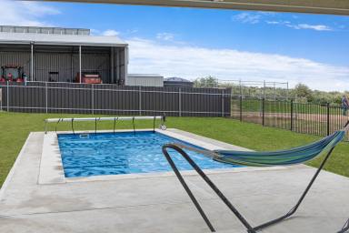 Farm For Sale - SA - Monarto South - 5254 - 5 BR HOME - 100 ACRES + POOL + SHEDDING  (Image 2)