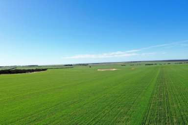 Farm For Sale - WA - Mindarabin - 6336 - Borella Downs  (1,733.7 HA  / 4,284 AC)  (Image 2)