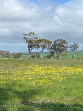 Farm Sold - WA - Merredin - 6415 - HISTORIC WHEATBELT COUNTRY ESCAPE  (Image 2)