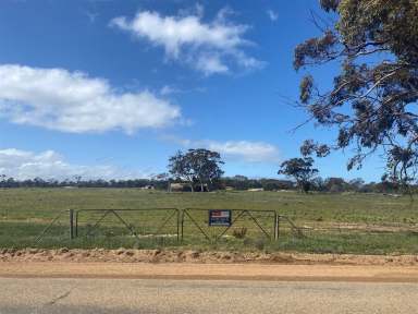 Farm Sold - WA - Merredin - 6415 - HISTORIC WHEATBELT COUNTRY ESCAPE  (Image 2)