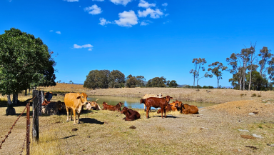 Farm For Sale - QLD - Ban Ban Springs - 4625 - 472-Acre Rural Retreat in Queensland's North Burnett Region  (Image 2)