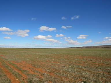 Farm For Sale - SA - Eurelia - 5431 - Flinders Rangers Grazing Extension Opportunity  (Image 2)