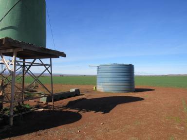 Farm For Sale - SA - Walloway - 5431 - Prime Southern Flinders Grazing & Cropping Soil  (Image 2)