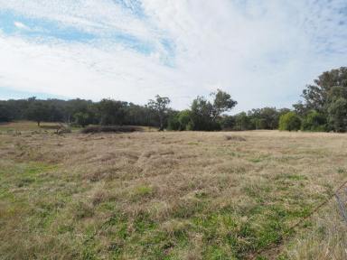 Farm For Sale - NSW - Upper Bingara - 2404 - Small Acreage In Peacful Location  (Image 2)