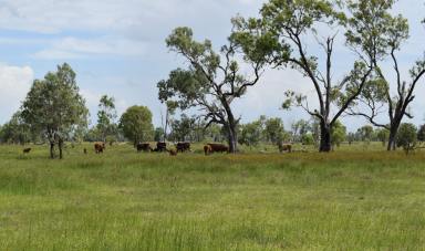 Farm For Sale - QLD - Midgee - 4702 - 'FISHPOND'  (Image 2)