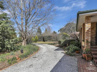 Farm For Sale - NSW - Moss Vale - 2577 - Private Family Lifestyle  (Image 2)