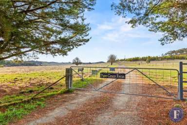 Farm For Sale - NSW - Rugby - 2583 - Spacious Family Haven on 116 Acres  (Image 2)