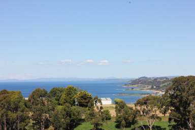 Farm For Sale - TAS - Heybridge - 7316 - Spectacular Sea Views  (Image 2)