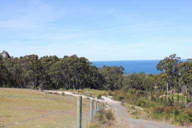 Farm For Sale - TAS - Heybridge - 7316 - Spectacular Sea Views  (Image 2)