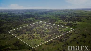 Farm For Sale - SA - Keyneton - 5353 - Sustainable living in Keyneton…….  (Image 2)