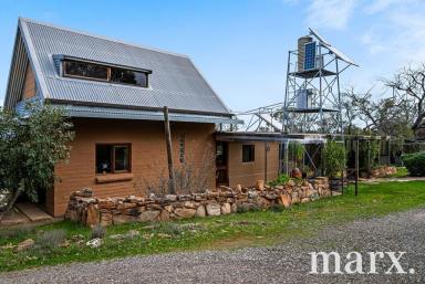 Farm For Sale - SA - Keyneton - 5353 - Sustainable living in Keyneton…….  (Image 2)