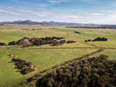 Farm For Sale - TAS - Memana - 7255 - Flinders Island Farms  (Image 2)