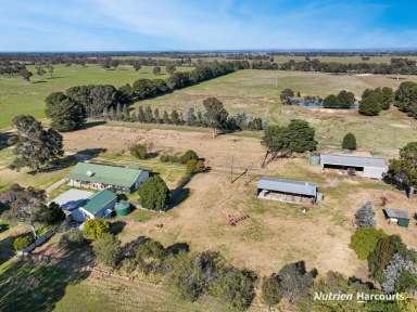 Farm For Sale - VIC - Stratford - 3862 - Substantial 1481 Acre Land Holding in Stratford  (Image 2)