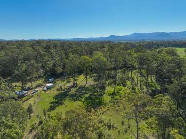 Farm For Sale - NSW - Upper Lansdowne - 2430 - A quite place to call home!  (Image 2)