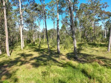 Farm Auction - NSW - Upper Lansdowne - 2430 - A quite place to call home!  (Image 2)