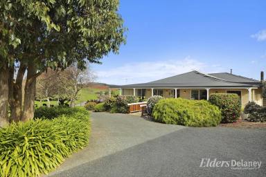 Farm For Sale - VIC - Thorpdale - 3835 - Soul Soothing Gardens, Views and Serene Lifestyle  (Image 2)