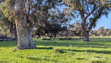 Farm For Sale - WA - Woodridge - 6041 - "UNDER OFFER"  (Image 2)