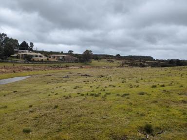 Farm For Sale - TAS - Waratah - 7321 - Piece of paradise  (Image 2)