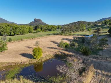 Farm Auction - NSW - Upper Lansdowne - 2430 - Peace and Tranquillity Await  (Image 2)