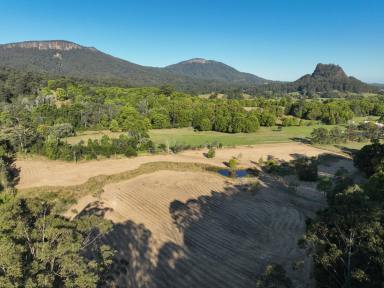 Farm Auction - NSW - Upper Lansdowne - 2430 - Peace and Tranquillity Await  (Image 2)