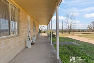 Farm For Sale - NSW - Mudgee - 2850 - PEACEFUL POSITION  (Image 2)