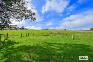 Farm For Sale - TAS - Mooreville - 7321 - Prime Subdivision Land or Ideal Lifestyle Hobby Farm  (Image 2)