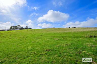 Farm For Sale - TAS - Mooreville - 7321 - Prime Subdivision Land or Ideal Lifestyle Hobby Farm  (Image 2)