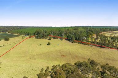 Farm For Sale - QLD - Hampton - 4352 - 100 Acres of Pristine Grazing and Country Lifestyle Paradise with Escarpment Views at Hampton. EOI. Closing 30 September 2024 (If Not Sold Prior)  (Image 2)