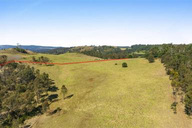 Farm For Sale - QLD - Hampton - 4352 - 100 Acres of Pristine Grazing and Country Lifestyle Paradise with Escarpment Views at Hampton. EOI. Closing 30 September 2024 (If Not Sold Prior)  (Image 2)