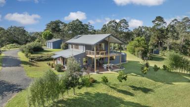 Farm Auction - NSW - Dorrigo - 2453 - 'Jannali', 165*acres with a beautiful 2018 built home  (Image 2)