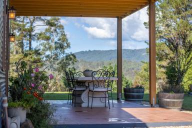 Farm Auction - NSW - Moonpar - 2453 - 'Jannali', 165*acres with a beautiful 2018 built home  (Image 2)