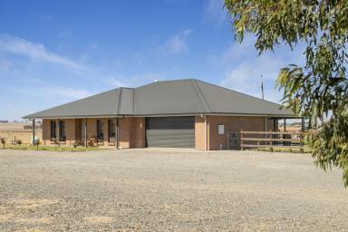 Farm For Sale - SA - Hamilton - 5373 - Idyllic acreage with a stunning Fairmont home  (Image 2)