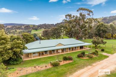 Farm For Sale - VIC - Glenpatrick - 3469 - Hidden Gem - Income Producing Lifestyle Property In A Private Oasis  (Image 2)