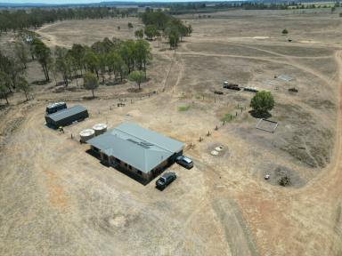 Farm For Sale - QLD - Wheatlands - 4606 - 176 acres on Barambah Creek - Wheatlands  (Image 2)