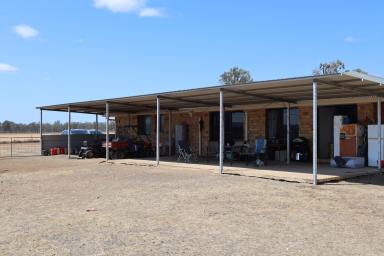 Farm For Sale - QLD - Wheatlands - 4606 - 176 acres on Barambah Creek - Wheatlands  (Image 2)