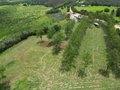 Farm For Sale - QLD - Kingaroy - 4610 - Executive Rural Living with Panoramic Views  (Image 2)