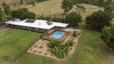 Farm For Sale - QLD - Biddaddaba - 4275 - 96 acres - It's all about the lifestyle  (Image 2)