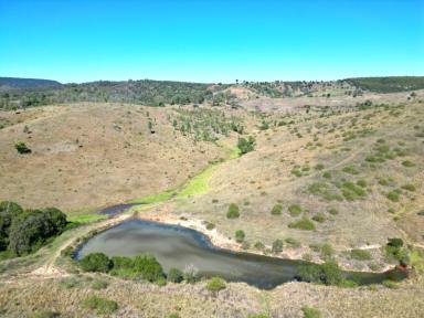 Farm For Sale - QLD - Tablelands - 4605 - South Burnett Scrub Country at its finest!  (Image 2)