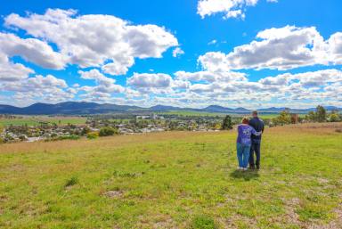 Farm Auction - NSW - Werris Creek - 2341 - A NEW OUTLOOK ON LIFE  (Image 2)